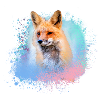 fuchs ,Graffiti, Malerei,fuchs ,aquarell