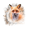 fuchs ,Graffiti, Malerei,fuchs ,aquarell,braun