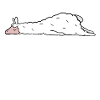 Bubu Lama Sommeil Bébé