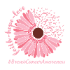 Brustkrebs Bewusstsein Rosa Blume