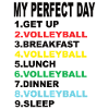 My Perfect Day Volleyball