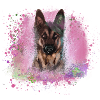 german shepherd, dog, graffiti, German shepherd,