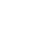 Lethwei Evolution