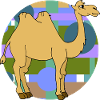 Camel