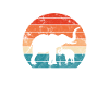 Éléphant