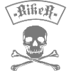 Biker Skull & Bones