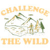Surviving wilderness