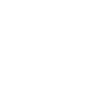 Developer Saying