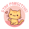 Cute Orange Tabby Cat, Stay Pawsitive Positive Pun