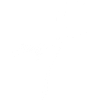 Le chat et la lune