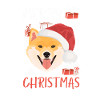 Shiba Inu Christmas