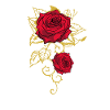 Rose Roses Rose Garden Gardener