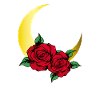 Rose Roses Rose Garden Jardinier