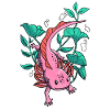 Salamandre Axolotl