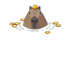 Capybara