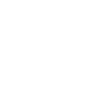 Crazy Cat Lady