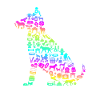 Hund