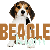 Beagle Maman