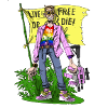 libertarian
