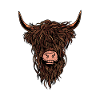 Wild Hair Don't Care