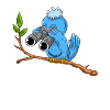 Bird watching