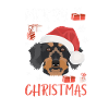Rough-haired dachshund Christmas
