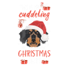 Rough-haired dachshund Christmas