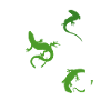 Lizard Hunter funny gecko