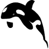 Orca / Killer Whale