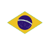Vale Tudo Brazil