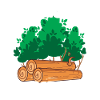Nachwuchs Forstwirt Holz machen