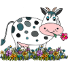 Cow