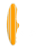 Surf Surfer Surfer
