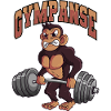 Gympanse Fitness Gym Singe Chimpanzé