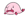Blobfish Fish