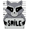 Cartoon Raccoon Photo Smile Prison Humor
