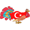 Funny Turkey Turkey