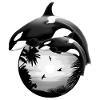 Killer whale