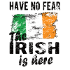 Irish Ireland Origin Irish flag Irish roots