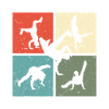 Breakdance BBoy BGirl Streetdance Breakdance