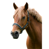 Cheval. Cheval.