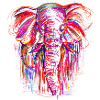 Elephant style