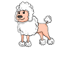 Chien caniche