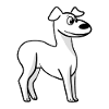 Whippet