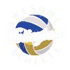Awesome Volleyball Athlete