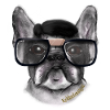 The French Bulldog Nerd