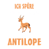 Antilope Antilopen