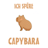Capybara