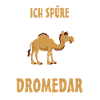 Dromedar
