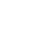 Geek
